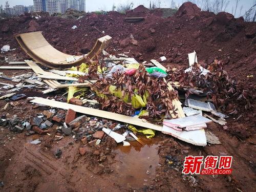 衡阳县新闻网爆料,揭秘当地重大事件背后真相