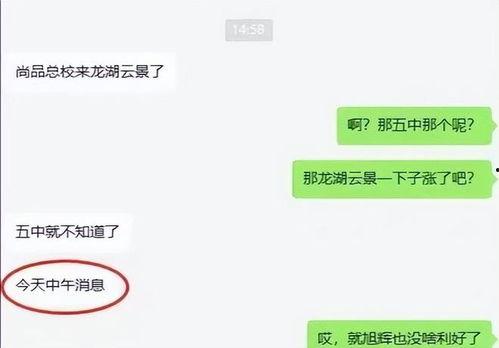 大东消息爆料最新消息,最新热点事件深度解析