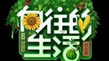 娱乐影视爆料怎么赚钱,轻松赚钱的秘诀大公开
