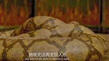 蛇女在线观看,神秘魅惑，在线揭秘奇幻世界