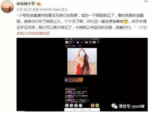 理想被大哥爆料视频播放,揭秘理想背后的故事