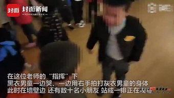 网友先生爆料视频大全集,揭秘网络热点背后的真相