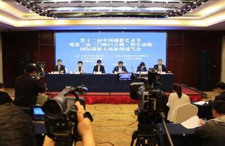 三门峡热点爆料新闻,最新热点爆料，揭秘事件背后真相