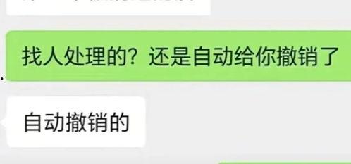 娱乐吃瓜抖音号,带你领略娱乐圈幕后风云