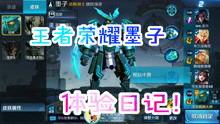 大亮王者爆料视频大全,揭秘游戏幕后精彩瞬间