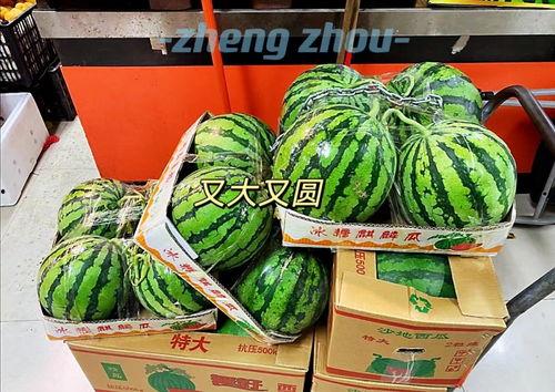 郑州吃瓜爆料视频大全,揭秘城市生活百态