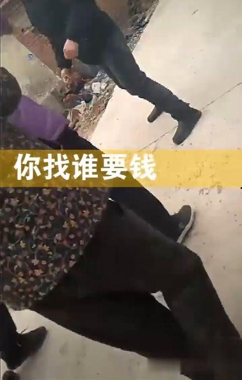 嚣张朋友爆料视频大全,揭秘幕后真相与惊人内幕
