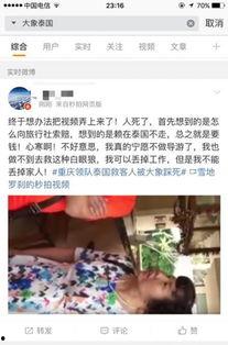 泰国游客爆料事件最新进展,最新进展揭示惊人内幕