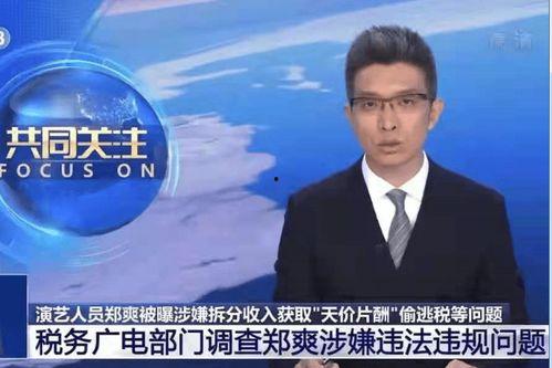 秦锋爆料价格最新消息,价格动态揭秘，市场走势一览无余