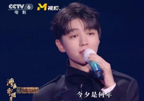 王源华晨宇爆料视频大全,揭秘幕后故事与精彩瞬间