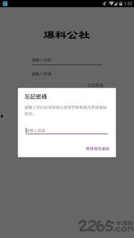 爆料公社app最新下载,揭秘热门爆料，畅享资讯盛宴